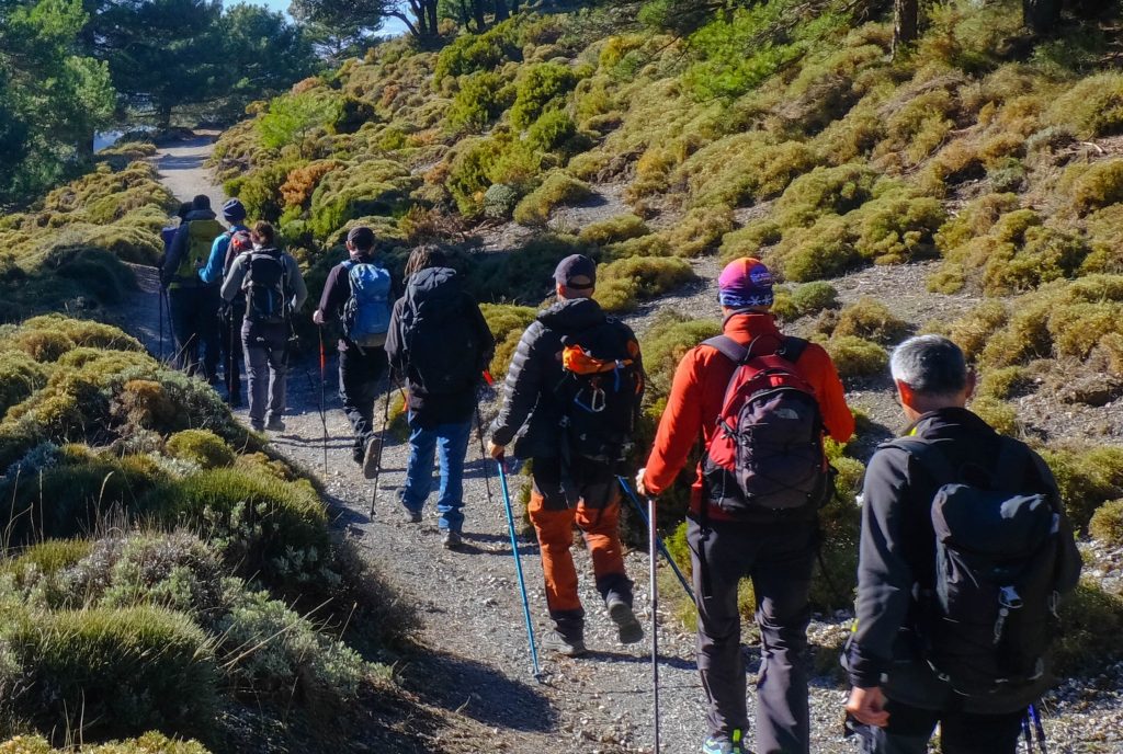 Grupo de alumnos de IUNDENIA en una ruta de montaña